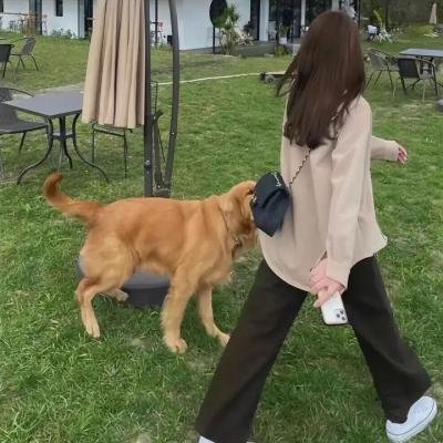 爱的男人